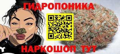 не бодяженный Шелехов
